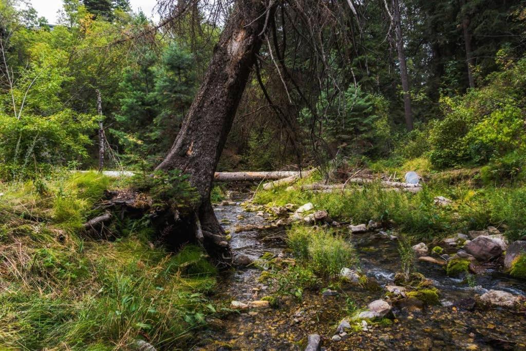 Cottage On The Stream Sundance, Utah Extérieur photo