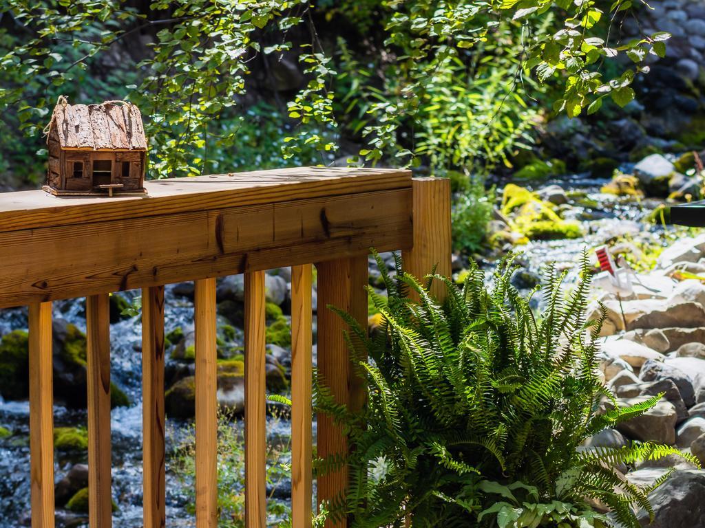 Cottage On The Stream Sundance, Utah Extérieur photo